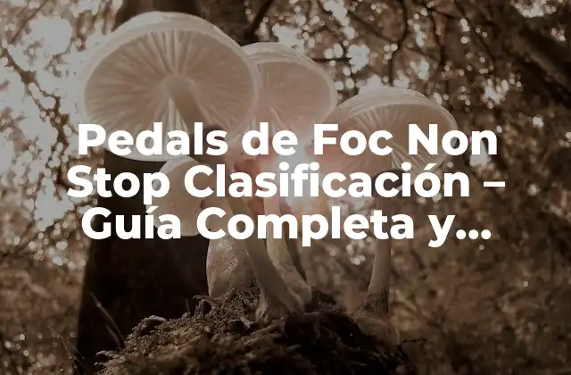 Pedals de Foc Non Stop Clasificación – Guía Completa y Detallada