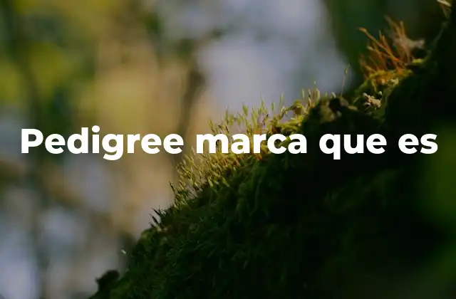 Pedigree Marca que es