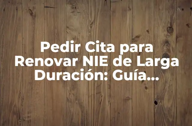 Pedir Cita para Renovar Nie de Larga Duración: Guía Completa