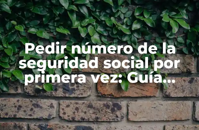 Pedir Número de la Seguridad Social por Primera Vez: Guía Completa