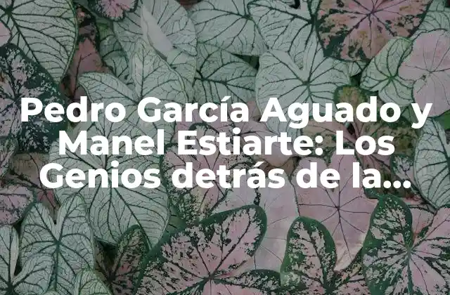 Pedro García Aguado y Manel Estiarte: los Genios Detrás de la Selección Española de Waterpolo