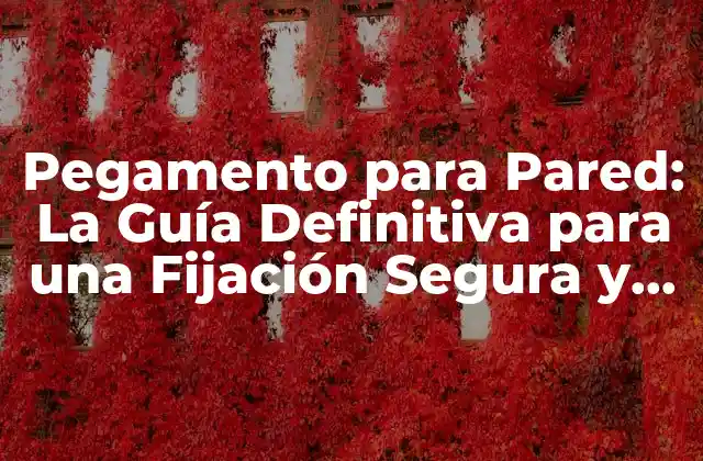 Pegamento para Pared: la Guía Definitiva para una Fijación Segura y Duradera