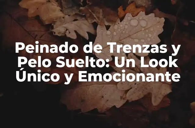 Peinado de Trenzas y Pelo Suelto: un Look Único y Emocionante