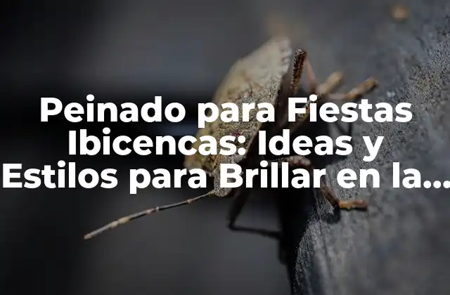 Peinado para Fiestas Ibicencas: Ideas y Estilos para Brillar en la Noche