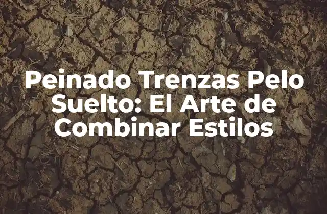 Peinado Trenzas Pelo Suelto: el Arte de Combinar Estilos 2 ¿Qué es el Peinado Trenzas Pelo Suelto?