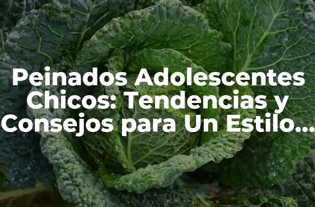 Peinados Adolescentes Chicos: Tendencias y Consejos para un Estilo Único