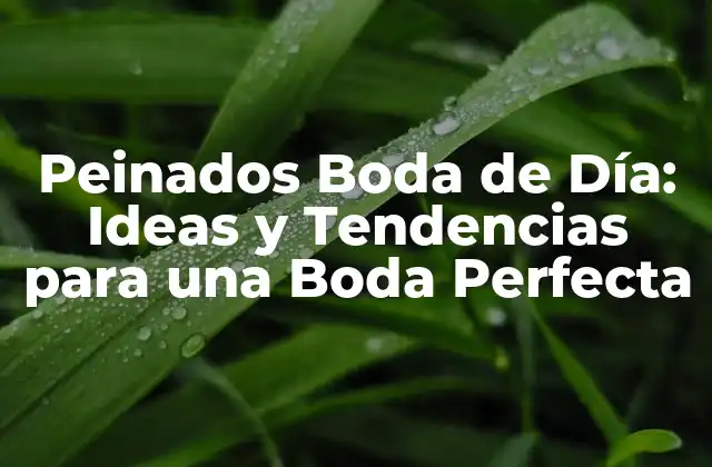 Peinados Boda de Día: Ideas y Tendencias para una Boda Perfecta