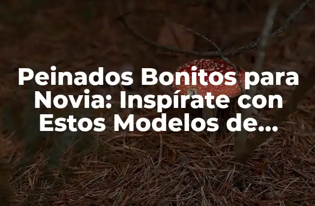 Peinados Bonitos para Novia: Inspírate con Estos Modelos de Ensueño