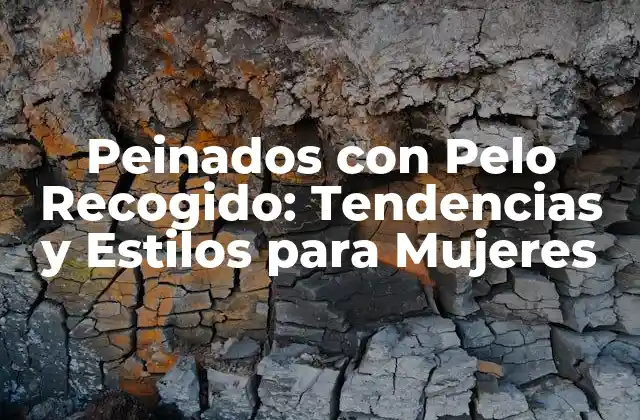 Peinados con Pelo Recogido: Tendencias y Estilos para Mujeres