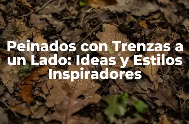 Peinados con Trenzas a un Lado: Ideas y Estilos Inspiradores