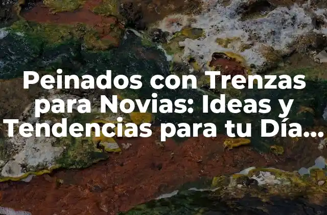 Peinados con Trenzas para Novias: Ideas y Tendencias para Tu Día Especial