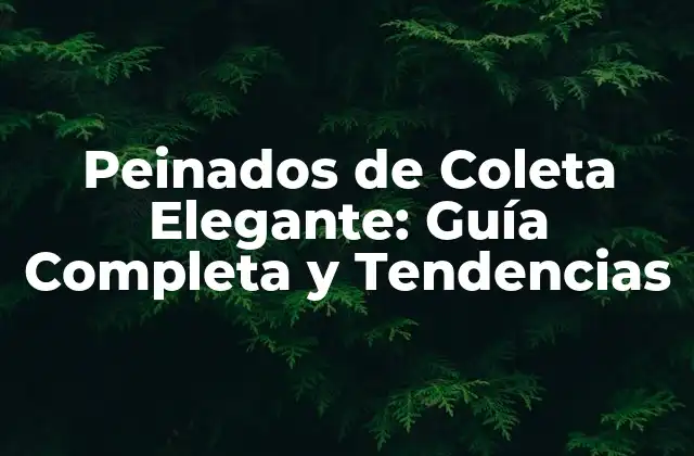 Peinados de Coleta Elegante: Guía Completa y Tendencias