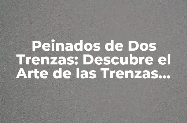 Peinados de Dos Trenzas: Descubre el Arte de las Trenzas Doble