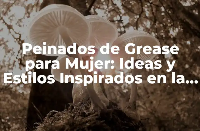 Peinados de Grease para Mujer: Ideas y Estilos Inspirados en la Época de los 50