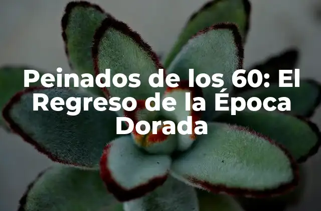 Peinados de los 60: el Regreso de la Época Dorada