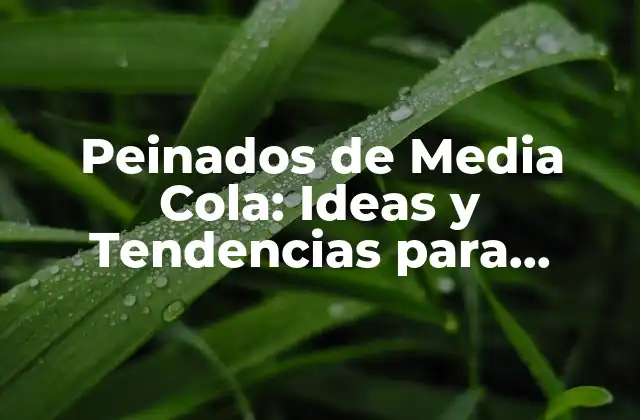 Peinados de Media Cola: Ideas y Tendencias para Cabello Medio