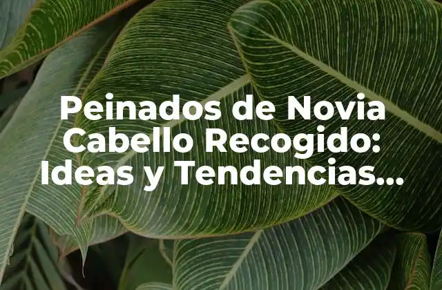 Peinados de Novia Cabello Recogido: Ideas y Tendencias para Tu Día Especial