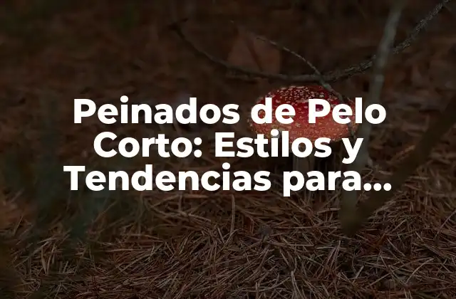 Peinados de Pelo Corto: Estilos y Tendencias para Mujeres y Hombres