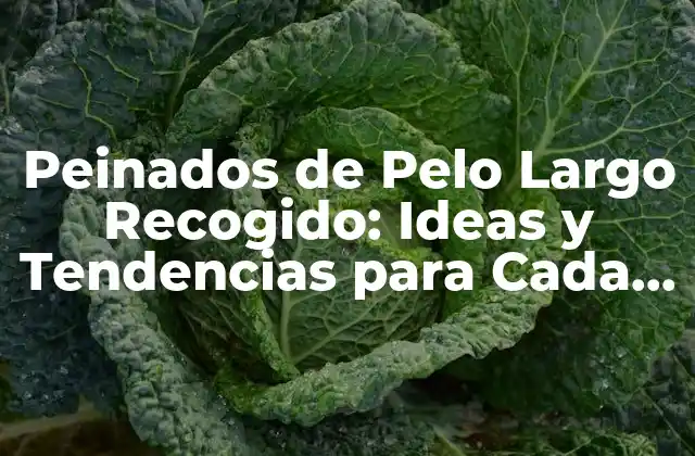 Peinados de Pelo Largo Recogido: Ideas y Tendencias para Cada Estilo