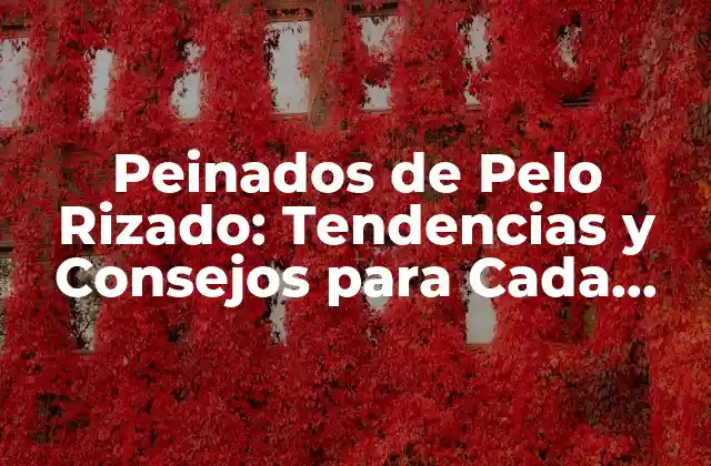 Peinados de Pelo Rizado: Tendencias y Consejos para Cada Tipo de Rizado