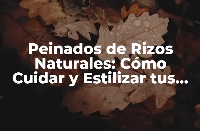 Peinados de Rizos Naturales: Cómo Cuidar y Estilizar Tus Rizos