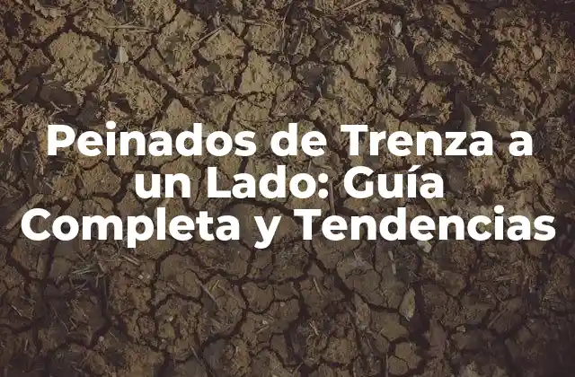 Peinados de Trenza a un Lado: Guía Completa y Tendencias