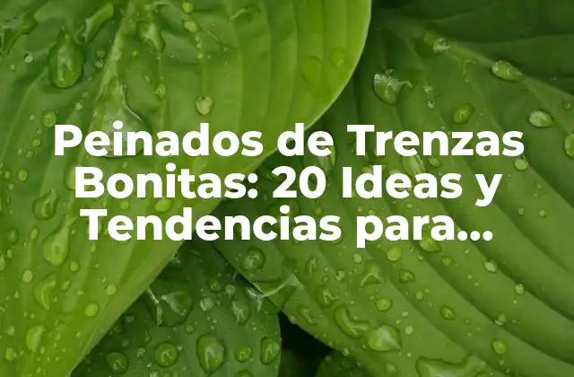 Peinados de Trenzas Bonitas: 20 Ideas y Tendencias para Inspirarte