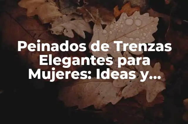Peinados de Trenzas Elegantes para Mujeres: Ideas y Tendencias