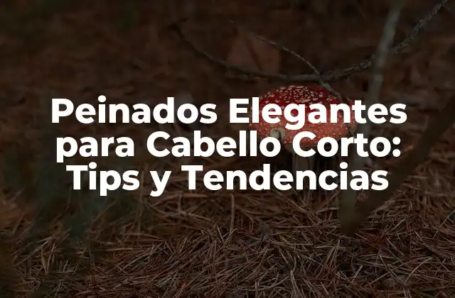 Peinados Elegantes para Cabello Corto: Tips y Tendencias