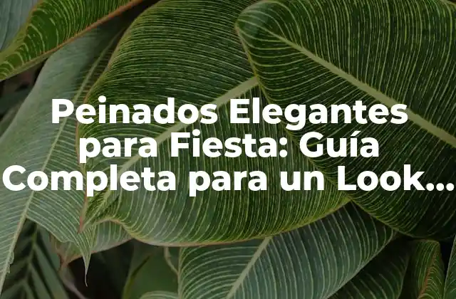 Peinados Elegantes para Fiesta: Guía Completa para un Look Impactante