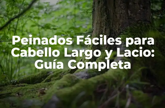 Peinados Fáciles para Cabello Largo y Lacio: Guía Completa