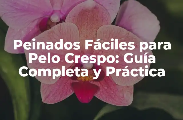 Peinados Fáciles para Pelo Crespo: Guía Completa y Práctica