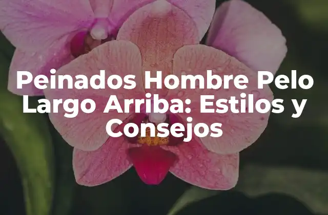 ¿Por qué los Hombres Con Pelo Largo Arriba Necesitan un Buen Peinado?