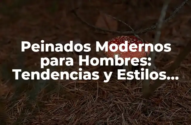 Peinados Modernos para Hombres: Tendencias y Estilos Actuales