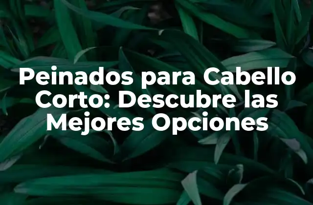Peinados para Cabello Corto: Descubre las Mejores Opciones