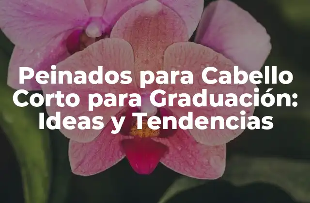 Ventajas de los Peinados para Cabello Corto