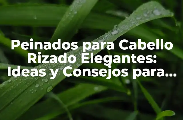 Peinados para Cabello Rizado Elegantes: Ideas y Consejos para Brillar