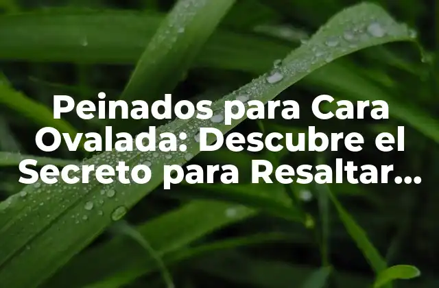 Peinados para Cara Ovalada: Descubre el Secreto para Resaltar Tu Rostro