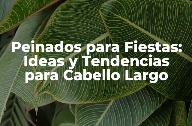 Peinados para Fiestas: Ideas y Tendencias para Cabello Largo