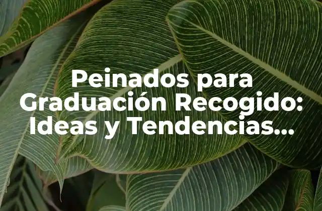 Peinados para Graduación Recogido: Ideas y Tendencias para un Día Inolvidable