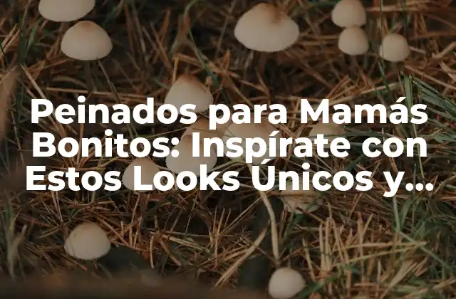 Peinados para Mamás Bonitos: Inspírate con Estos Looks Únicos y Fáciles de Lograr
