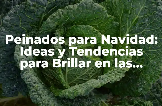 Peinados para Navidad: Ideas y Tendencias para Brillar en las Fiestas