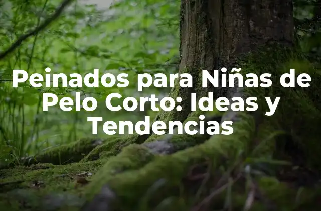 Peinados para Niñas de Pelo Corto: Ideas y Tendencias