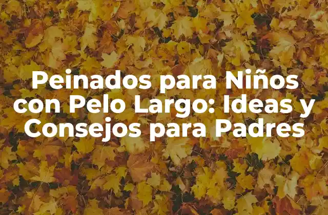 Peinados para Niños con Pelo Largo: Ideas y Consejos para Padres