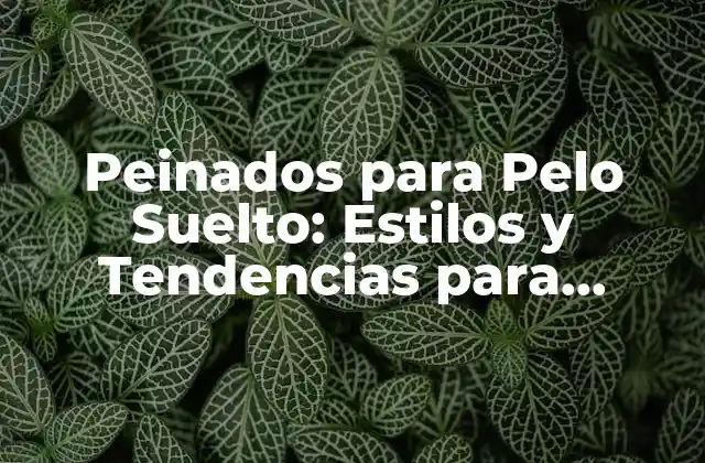 Peinados para Pelo Suelto: Estilos y Tendencias para Cabello sin Volumen
