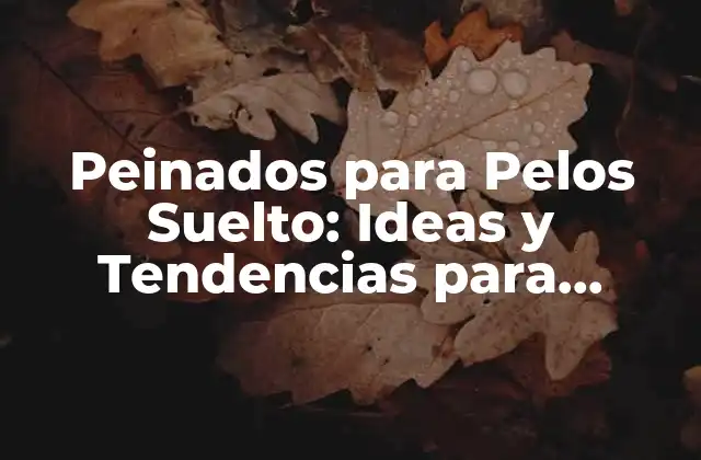 Peinados para Pelos Suelto: Ideas y Tendencias para Cabello Libre