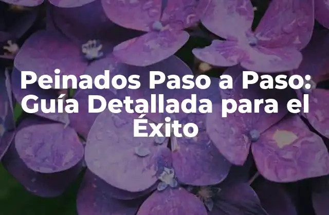 Beneficios de los Peinados Paso a Paso