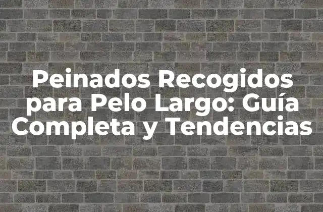 Peinados Recogidos para Pelo Largo: Guía Completa y Tendencias