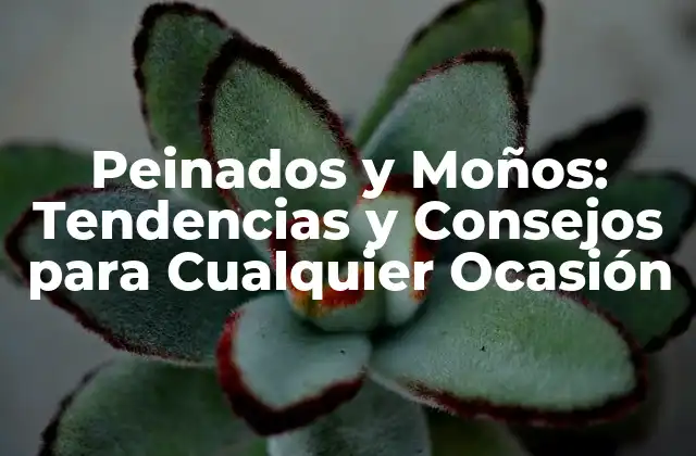 Peinados y Moños: Tendencias y Consejos para Cualquier Ocasión