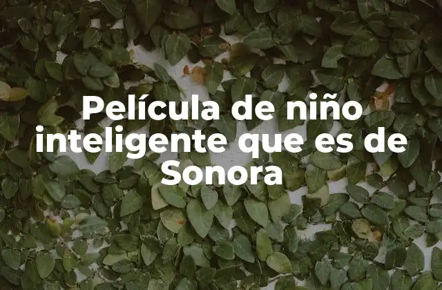 Película de Niño Inteligente que es de Sonora 2 El cine infantil y su conexión con el entorno regional